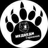 Медведи Новости