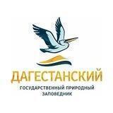 Дагестанский заповедник