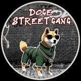 Doge Street Gang $DSG ERC-20