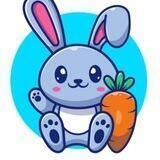 Rabbit Inu DAO