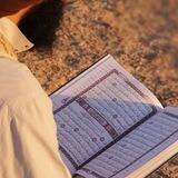 دُچــانة