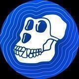 APE COIN INU | BSC