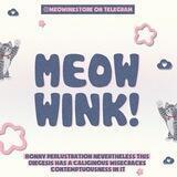 Meow-Wink! store, Open.
