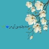 -ناشناسِ‌آبی!