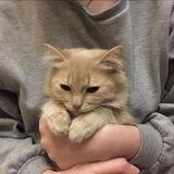 искусство жить