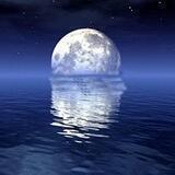 OceanMoon Chinese Community 🇨🇳🇨🇳🇨🇳🇨🇳🇨🇳