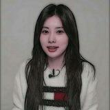 Testie disini