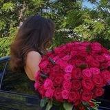 𝓢𝓴𝓻𝓸𝓶𝓷𝓪𝔂𝓪 💗