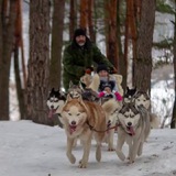 🐕🐕🐕--Роман с Хаски