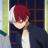 todoroki shoto.