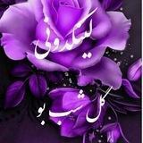 لینکدونی گــلــهاے شــبــو