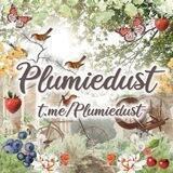 🧚‍♀️Testimony Plumiedust 🧚‍♀️🦋
