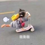 貼圖自取