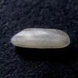 $RICE Portal