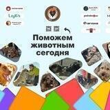 Дорога Домой