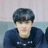 Lee Mark