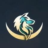 GmMoon_中文共识群
