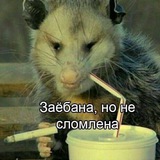 Кабак Преколов