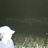 1975
