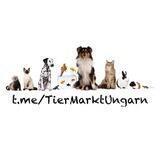 TierMarktUngarn