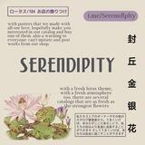 Serendipity.