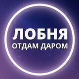 Лобня Даром.