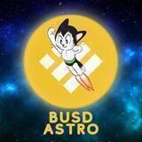 BUSD ASTRO - Entry Portal
