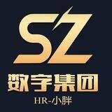天空数字集团招聘频道