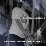 родители чеховских