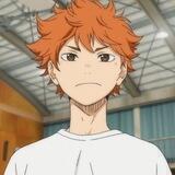 Shoyo Hinata !