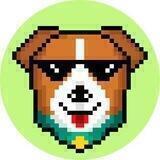 Patron Doge Announcements 📢