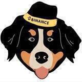 Bernese MountainDog_CN🇨🇳