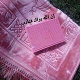ان الله يراڪ فتأدب ؛.👌 🔐