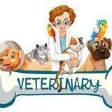 🐕 Ветеринарная Клиника 🐈‍⬛👨‍⚕️👩‍⚕