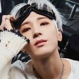 Jeon Wonwoo, SVT
