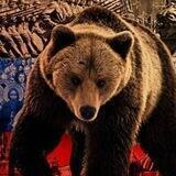 ЧАТ Приморский ZOV❗️ Работайте Братья❗️
