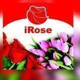iRose