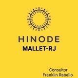 Hinode.Mallet_RJ