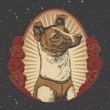 Laika - BSC PreVerify