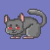 TON Chinchillas NFT