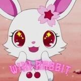 WIKI RABBIT | 维基兔子