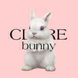 Clare Bunny : OPEN!