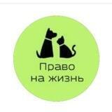 Право на жизнь. Арсеньев