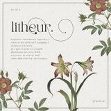☽ refined proverb, luminous blithe poems: litheur.