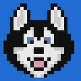Hosky Token ($HOSKY)