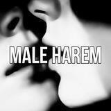 ୧ ׅ𖥔 ۫ male harem ⋄ 𓍯
