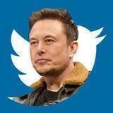 Elon Twitter
