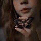 فـــࢪاشــة،butterfly🤎🦋🧸!َ''))