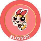 🌸 BLOSSOM 🌸