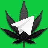 WeedFeeds Forum